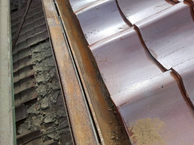 雨樋掃除